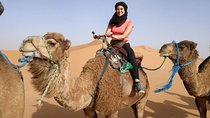 3 Days trip from MARRAKESH to FEZ with a night in OUARZAZATE and MERZOUGA