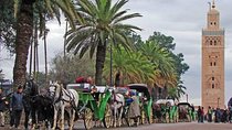 1 Day trip to Marrakech from Agadir with group including guide