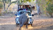 Game Drive and Rhino Walk