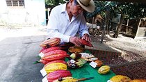 2-Day Cacao Tour in Cusco Jungle – Learn & Harvest with Experts
