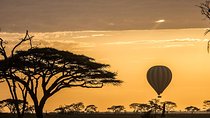 Tanzania wildlife & Cultural Safari- 11days 