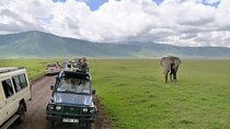 7 Days Tarangire, Serengeti, Ngorongoro & Manyara Camping Safari Tour Tanzania