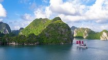 Hanoi - Halong Amzing Sails Luxury Day Tour