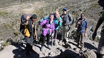 Kilimanjaro Machame Route 7 Days