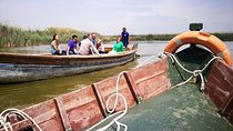 The Albufera Natural Park Private Tour from Valencia with transport