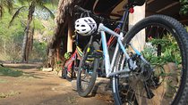 Mountain Bike Tours 