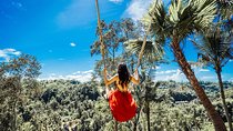 Real Bali Swing & Ubud Private Group Tour – Full Day