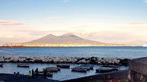 Ancient Pompeii up to the Vesuvius Tour with Local Guide & Driver from Naples