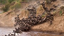 3 days group joining maasai mara tour