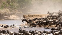 4 Days Luxury Lodge Safari Tour Tanzania