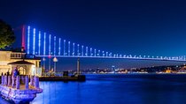 Istanbul: Dinner Cruise on the Bosphorus & Shows