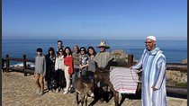 Tangier’s sightseeing Daytour