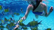 San Blas Islands Full-Day Tour + Transport from Panama City