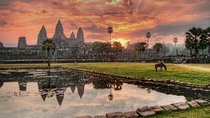 One Day Private Guide Tour of Angkor Thom, Bayon, Ta Phrom & Angkor Wat