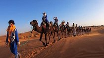 Camel Ride Experience