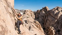 Rock Climbing Trips in Joshua Tree National Park (6 Hours)