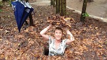Half Day Private Cu Chi Tunnel Tour