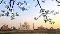 Exceptional One Day Tajmahal Trip by Car from Delhi