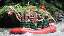 Full-Day Tour: White Water Rafting and Highlight of Ubud with All-inclusive