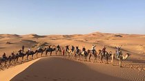 Shared Fes to Fes Desert Tours 3 Days/2 Nights