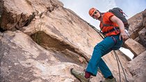 Rappelling Adventure in Joshua Tree National Park (4 Hours)