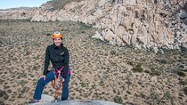 Rappelling Adventure in Joshua Tree National Park (8 Hours)