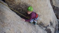 Family Rock Climbing Trips in Joshua Tree National Park (4 Hours)
