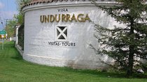 Santiago: Half day Visit to Undurraga vineyard, entrance and transport included