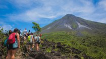 Morning Arenal Volcano Hike & Mistico Hanging Bridges Combo