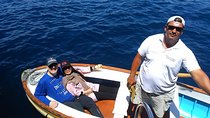 Capri Island and Blue Grotto Fullday from Rome