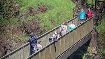Guided Tour of Victoria Falls