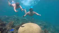 Punta Cana Private Cruise Up To 10 Snorkeling & Seafood lunch 
