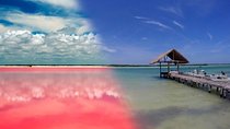 Pink Lake & Rio Lagarto! from Cancún [sin guía]