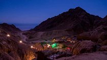 Bedouin Dinner Tour In Sharm El Sheikh (Quad Bike & Camel Ride) 