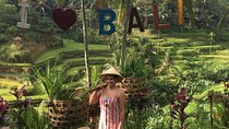 Point View of Kintamani Vulcano and Ubud Tour