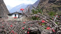 12 days Annapurna Panorama & Tatopani Trek