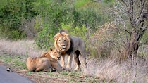 Hluhluwe Big 5 Day tour from Durban