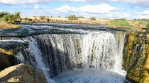 Fayoum Full Day tour Bird Watching