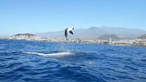 Tenerife by Kayak Adventure in small group 