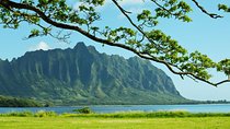 Private Green and Blue Circle Island Oahu Tour (se habla espanol)