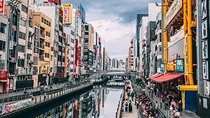 Osaka Private Customizable Full Day Tour