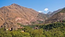 Atlas Mountains and Camel Ride Day Trip From Marrakech 
