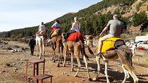 Ourika Valley & Waterfalls Tour from Marrakech with Breakfast 