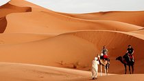 2 Days trip in a small group from FEZ to FEZ passing by MERZOUGA