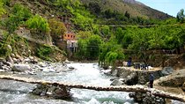 Private Day Trip Ourika valley 