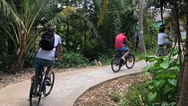 Private Non-touristy Mekong Delta with Biking 1 Day