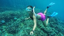 Best Bali Snorkeling At Blue Lagoon And Tanjung Jepun All-Inclusive