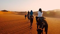 shared luxury Fez to Fez Desert Tour 2 Days/1Night 