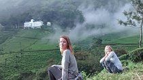 Explore Munnar Day Trip From Cochin ( By Munnar Info)