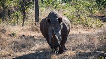 Game Drive And Rhino Walk